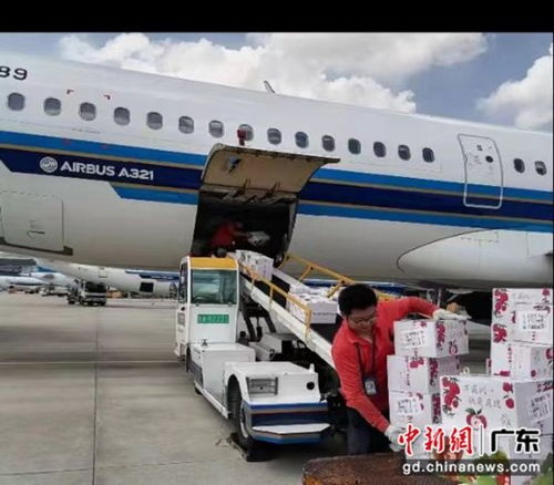 南航物流攜手廣東省農(nóng)業(yè)農(nóng)村廳助力‘荔’啟航，廣州物流賦能現(xiàn)代農(nóng)業(yè)新篇章